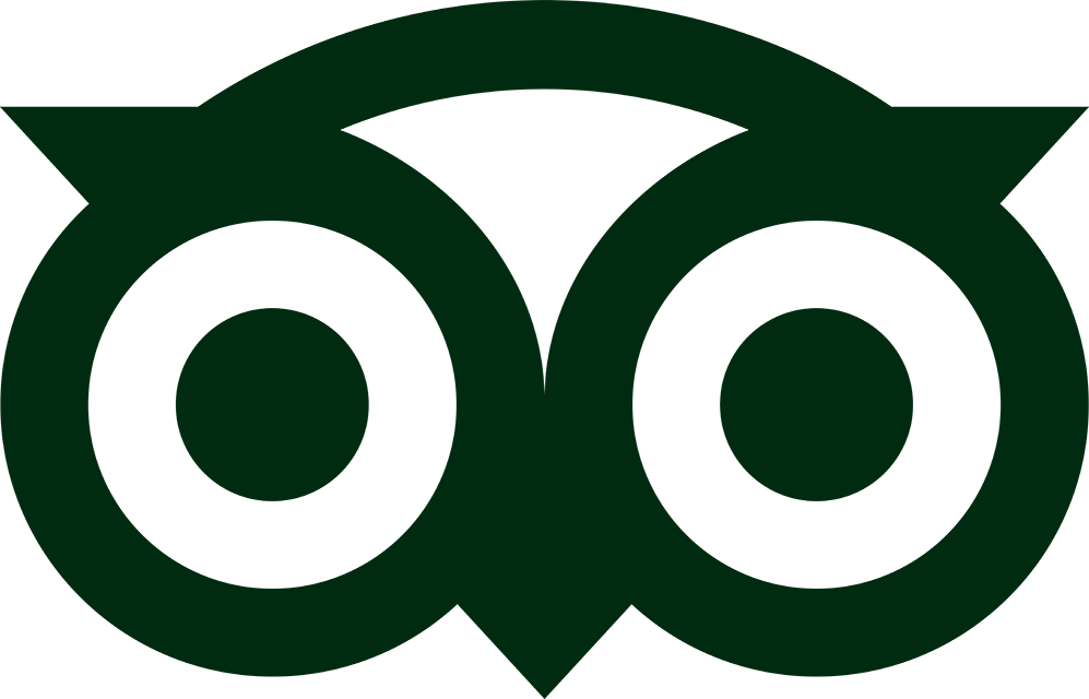 Trip Advisor Logo